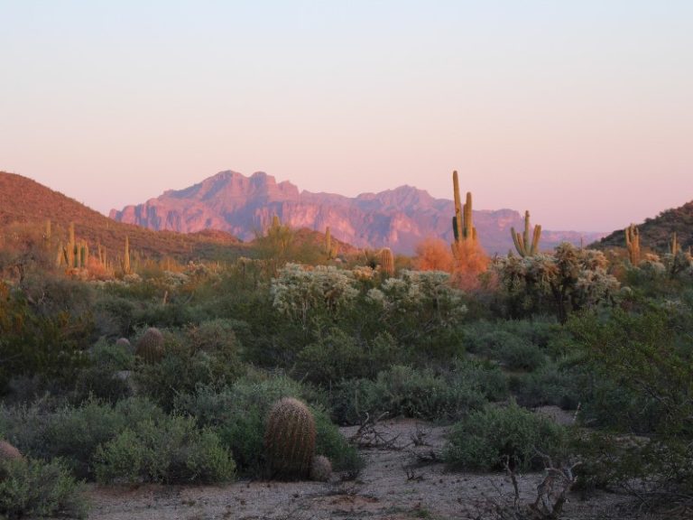 Discover the Wonders of Apache Junction, AZ Oasis Junction Mobile